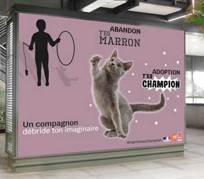 Campagne d'affichage Adoption
